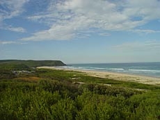 Birdie Beach