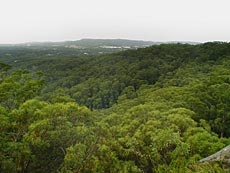 Katandra Reserve