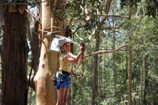 Yarramalong -  TreeTop Adventure Park